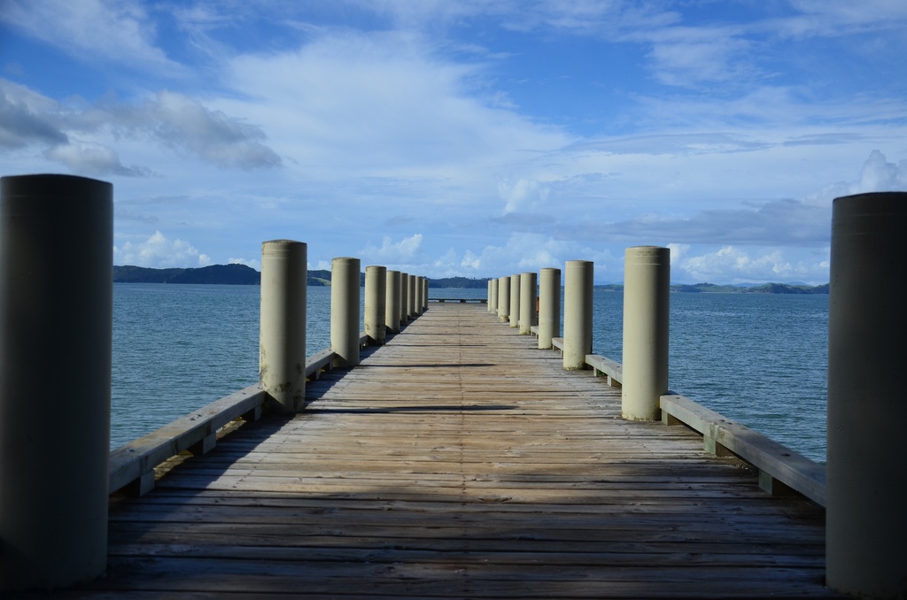 2017-03 New Zealand/Hunua/DSC_0286.JPG